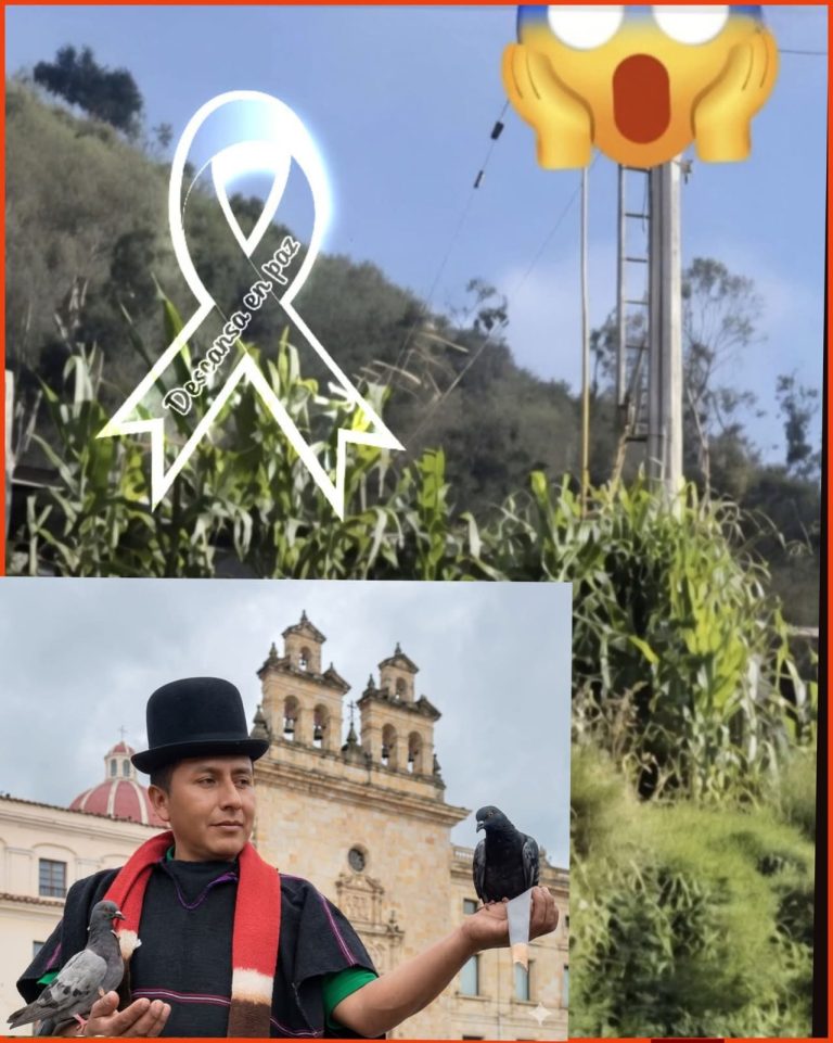 🚨 Tragedia en Cauca: trabajador pierde la vida tras fuerte descarga eléctrica