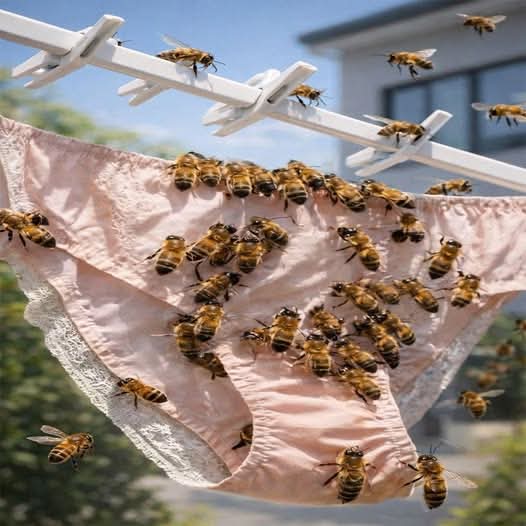 🚨 ¿Por qué las abejas se posan en tu ropa? La razón real te va a sorprender