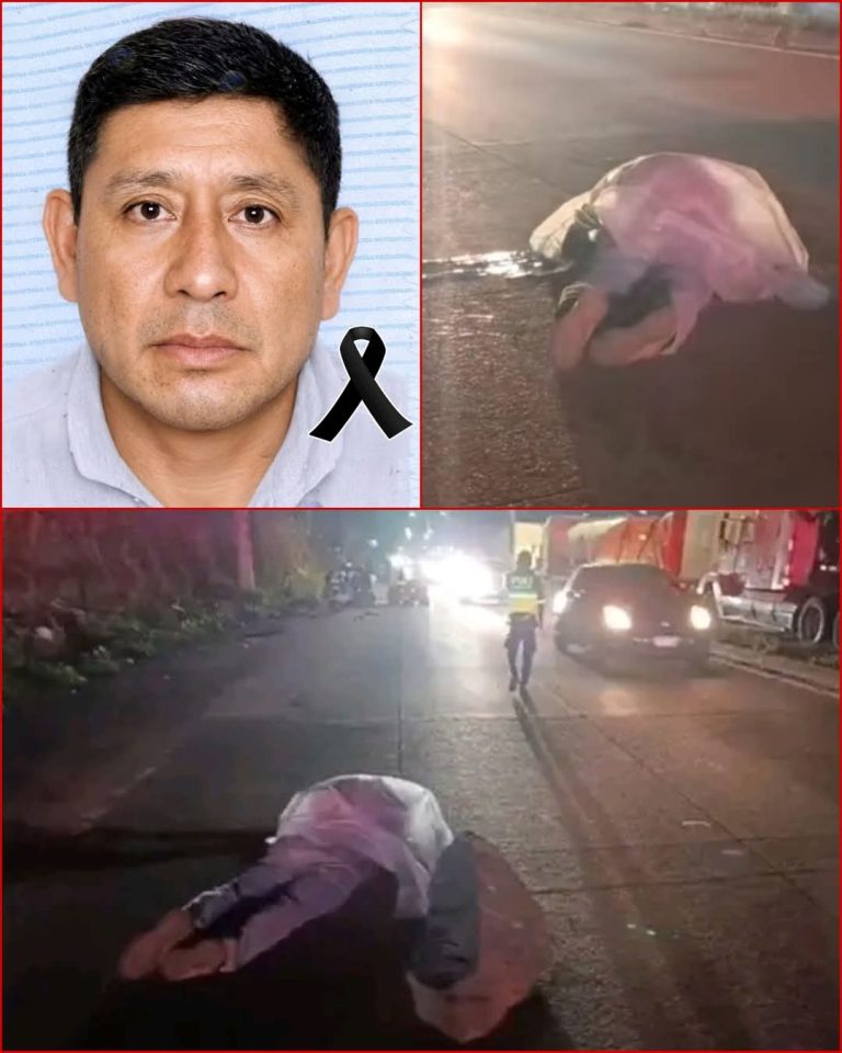 💔 Salió rumbo a casa… pero el viaje terminó en tragedia el día de su cumpleaños