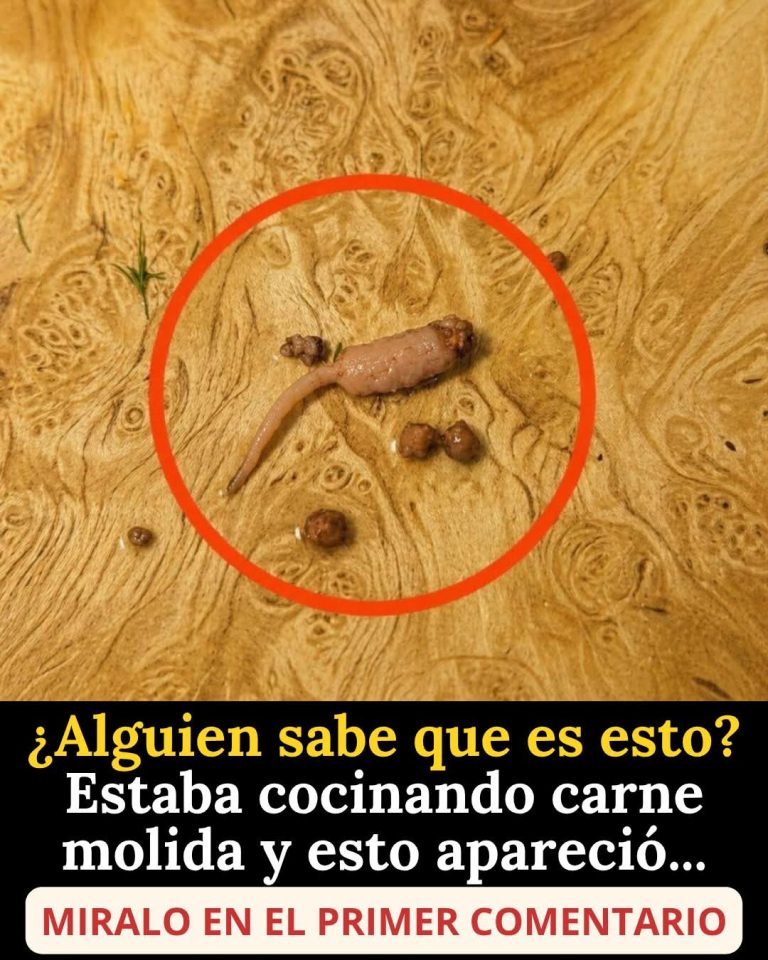 Lo que encontró dentro de la carne molida dejó a miles de personas completamente impactadas