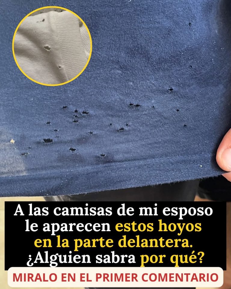 El misterioso motivo por el que aparecen pequeños agujeros en las camisetas y casi nadie lo sabía