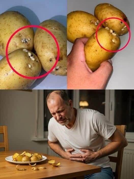⚠️ Papas con brotes: el peligro oculto que muchas personas cocinan sin darse cuenta