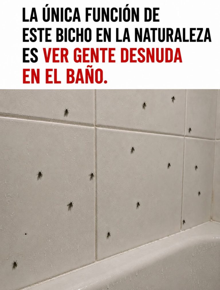 Si ves estos pequeños bichos en el baño, podrías estar ignorando una señal importante