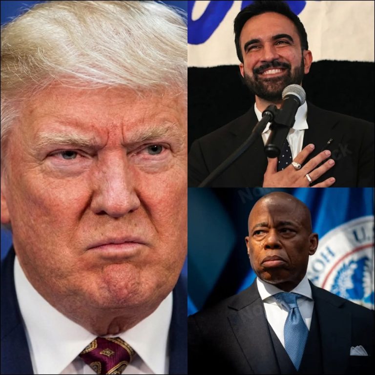 Debate político en redes tras publicaciones sobre economía y liderazgo en Nueva York
