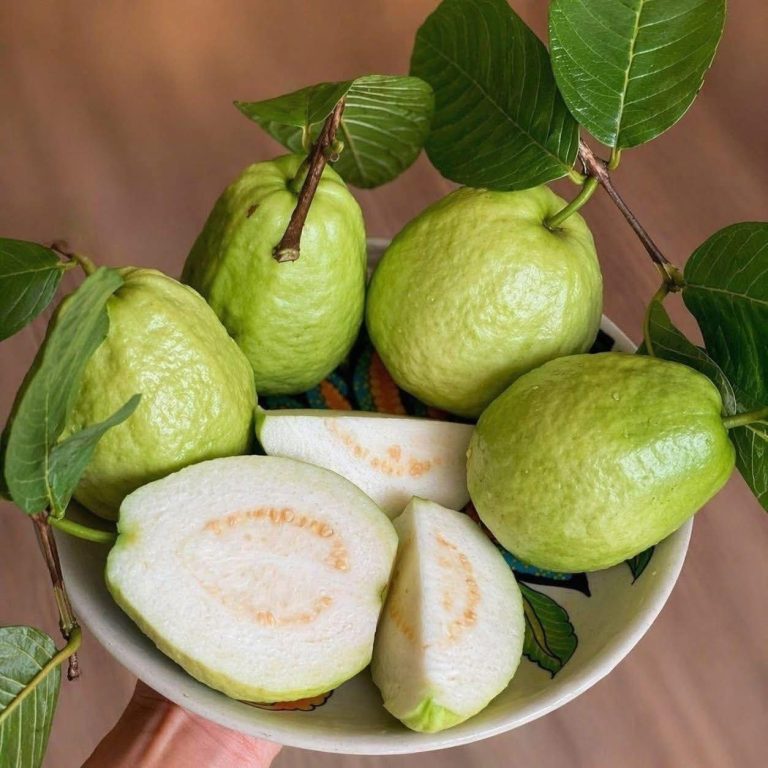 Médicos explican los beneficios que podría aportar la guayaba al cuerpo