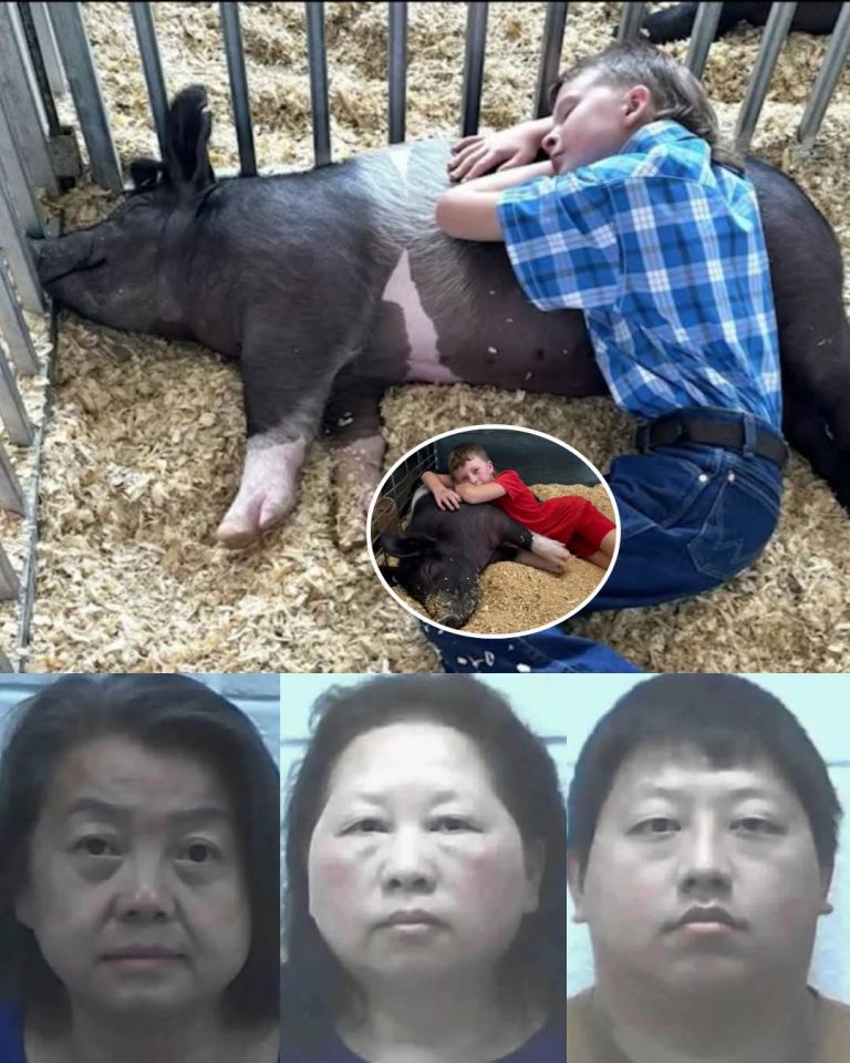 Niño con autismo pierde a su cerdo de apoyo emocional tras violento caso que conmociona a Georgia