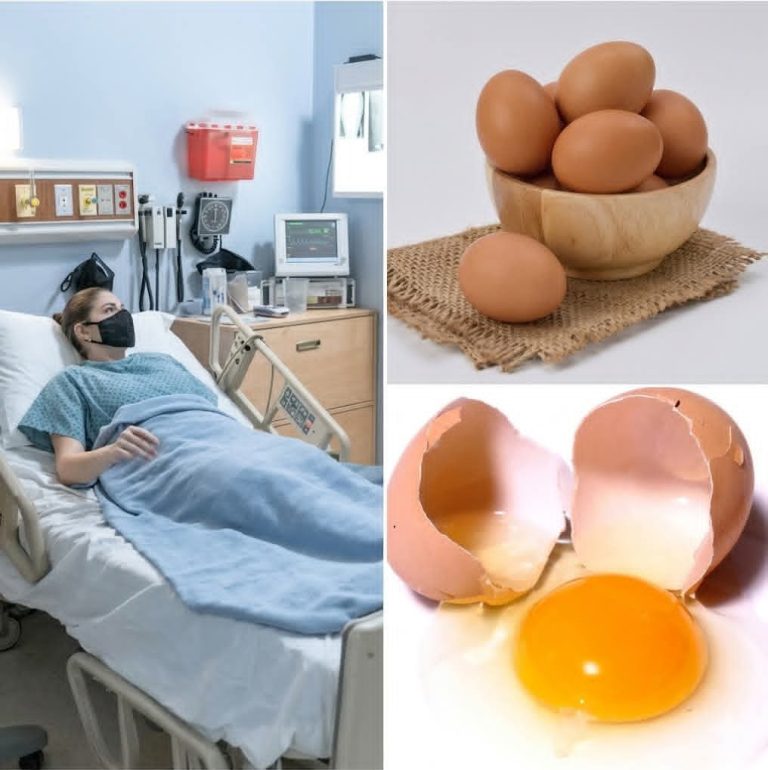 🥚 Médicos revelan qué podría pasar en tu cuerpo si comes huevo todos los días