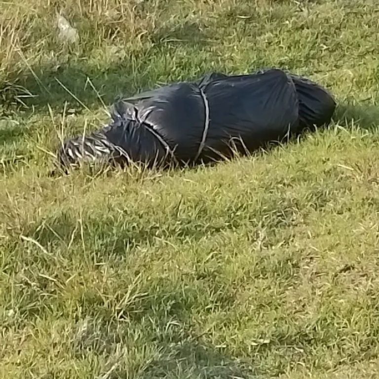 🚨 Misterioso bulto genera alarma cerca del canal en Almoloya del Río