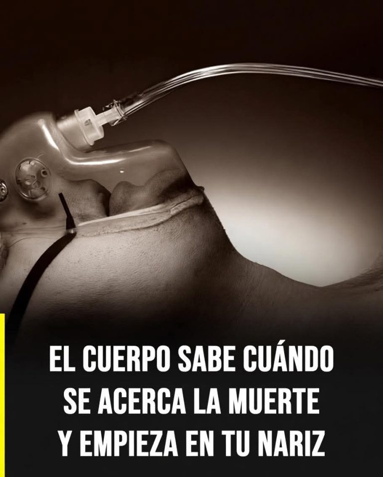 😨 “El cuerpo sabe cuándo se acerca la muerte”… ¿qué dice realmente la ciencia sobre esto?