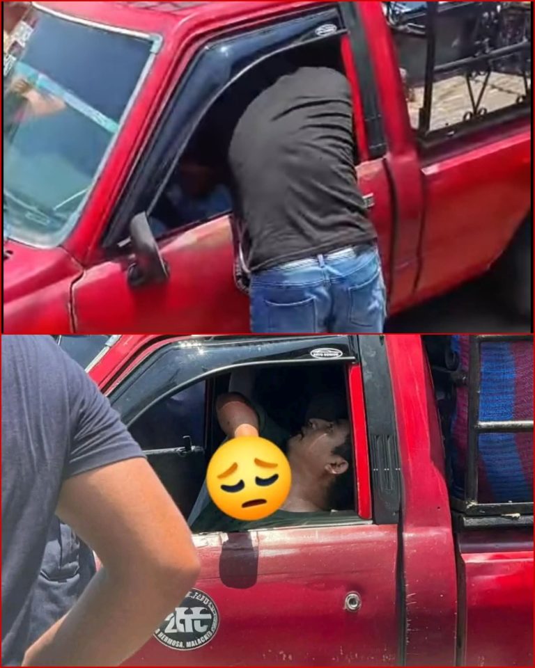 🚨💥 Una discusión en plena terminal terminó en tragedia: piloto perdió la vida tras pelea de vía
