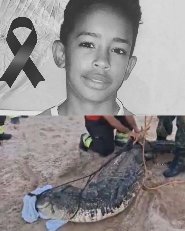 😭 La trágica muerte de Felipe, de solo 14 años, conmociona a toda una comunidad