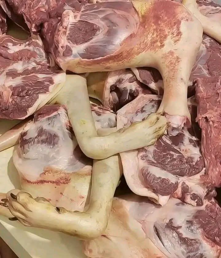 🚨😨 Autoridades investigan impactante hallazgo relacionado con venta ilegal de carne