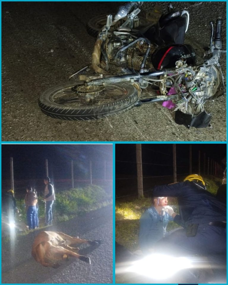 🚨 Motociclista terminó gravemente herido tras chocar contra una vaca en plena vía 😨🐄