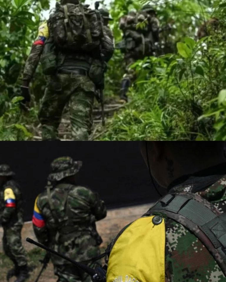 🚨 Enfrentamientos entre grupos armados dejan al menos 50 muertos en zona rural del Guaviare