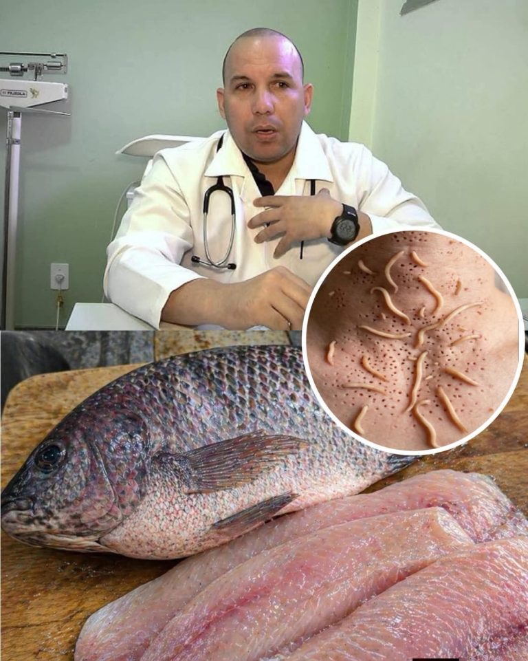🚨 Científicos advierten sobre posibles riesgos de consumir tilapia en malas condiciones