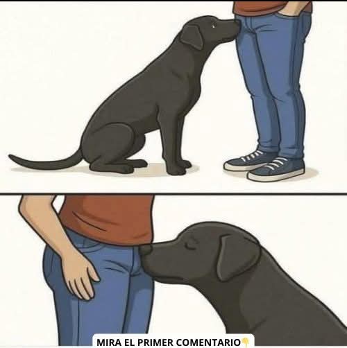🐶 Si tu perro siempre huele esa zona íntima, podría estar intentando decirte algo importante sobre tu salud