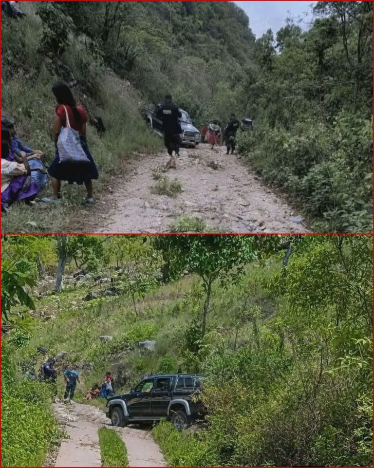 Padre e hijo de 14 años pierden la vida cuando regresaban a casa en comunidad de Jocotán, Chiquimula