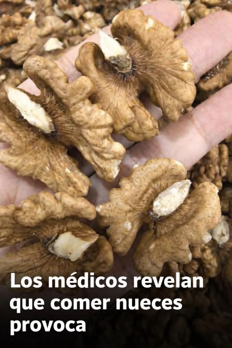🌰 Médicos revelan qué ocurre realmente cuando comes nueces todos los días: los sorprendentes beneficios que pocos conocen