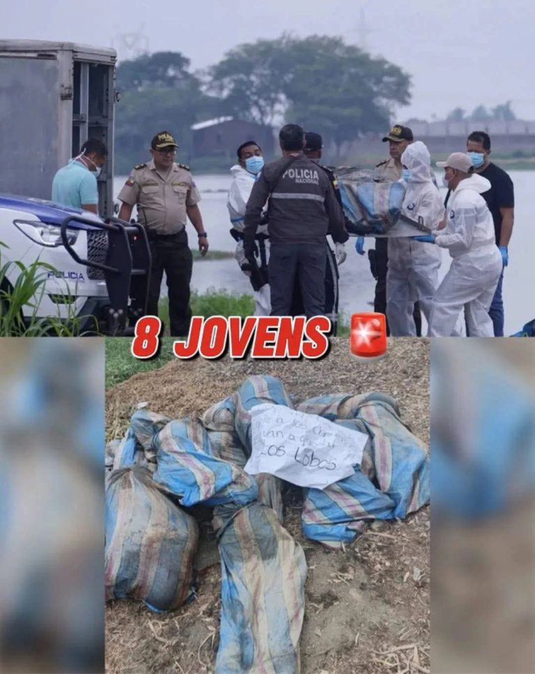 Investigan hallazgo de ocho jóvenes sin vida dentro de bolsas: autoridades buscan esclarecer el caso