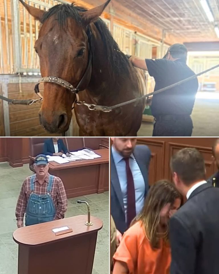 Dueño de caballo rompe en llanto en plena corte y revela el dolor que aún no logra superar