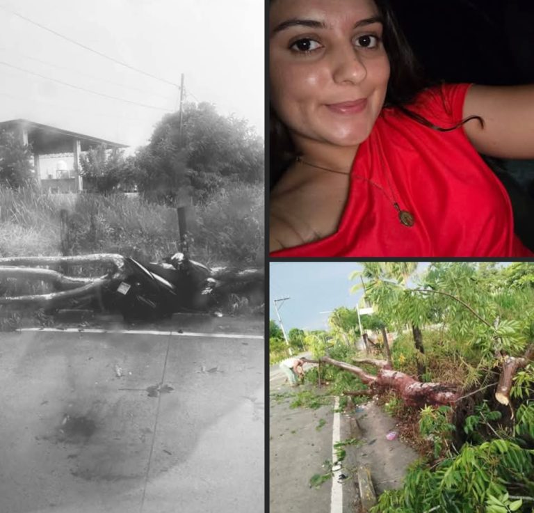 Joven muere tras caerle un árbol durante fuerte tormenta en Morales, Izabal