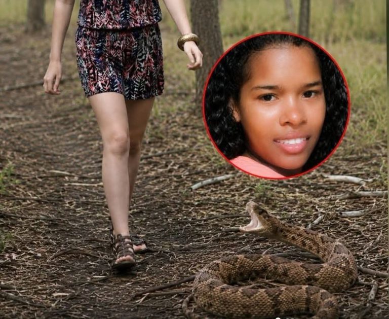 Joven madre de 17 años muere tras mordedura de serpiente en zona rural de Valencia, Córdoba