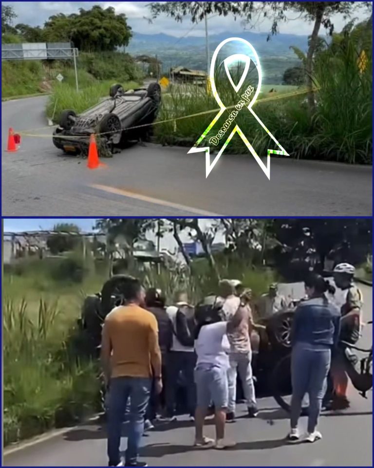 Murió conductor tras aparatoso accidente de tránsito en la vía Palestina – Chinchiná