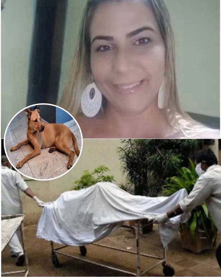 Mujer hospitalizada tras presunto caso relacionado con un perro: autoridades investigan