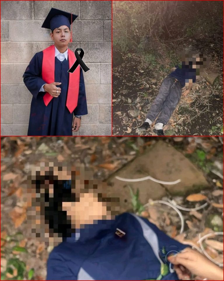 Identifican a menor localizado sin vida en área boscosa entre finca y colonia