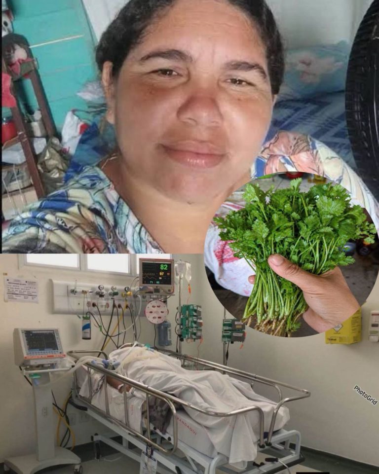 Mujer es hospitalizada tras consumir cilantro: médicos investigan qué ocurrió realmente