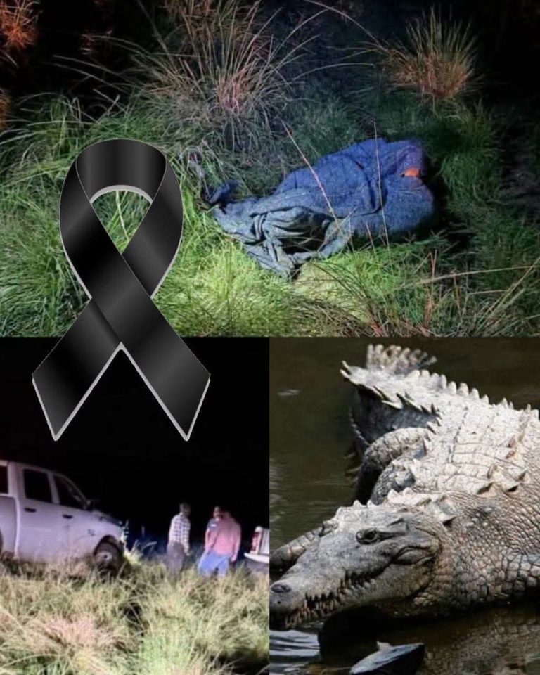 Campesino pierde la vida tras rescatar a su yegua y ser atacado por un cocodrilo en Veracruz