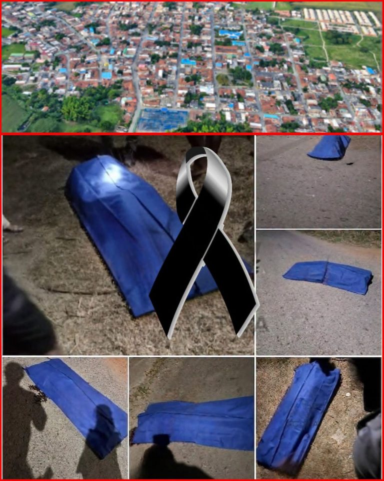 Masacre en Guachené, Cauca: tres personas fueron asesinadas en ataque armado