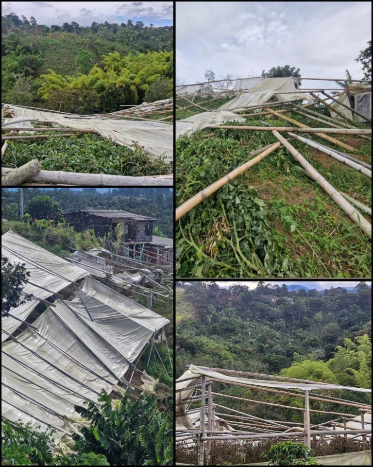 Fuertes vientos destruyen invernaderos y golpean a agricultores de Timbío