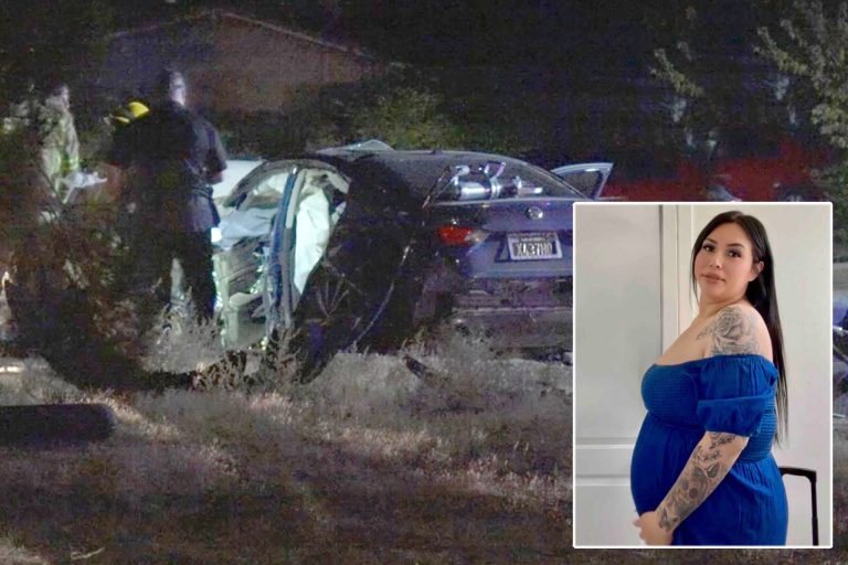 Madre embarazada de gemelos muere tras trágico accidente en el sur de California