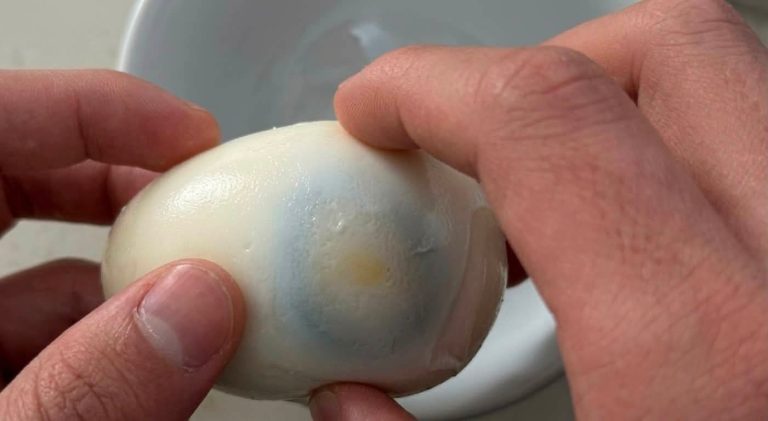 ¿Es posible encontrar un huevo con tres yemas? Esto dice la ciencia sobre este raro fenómeno