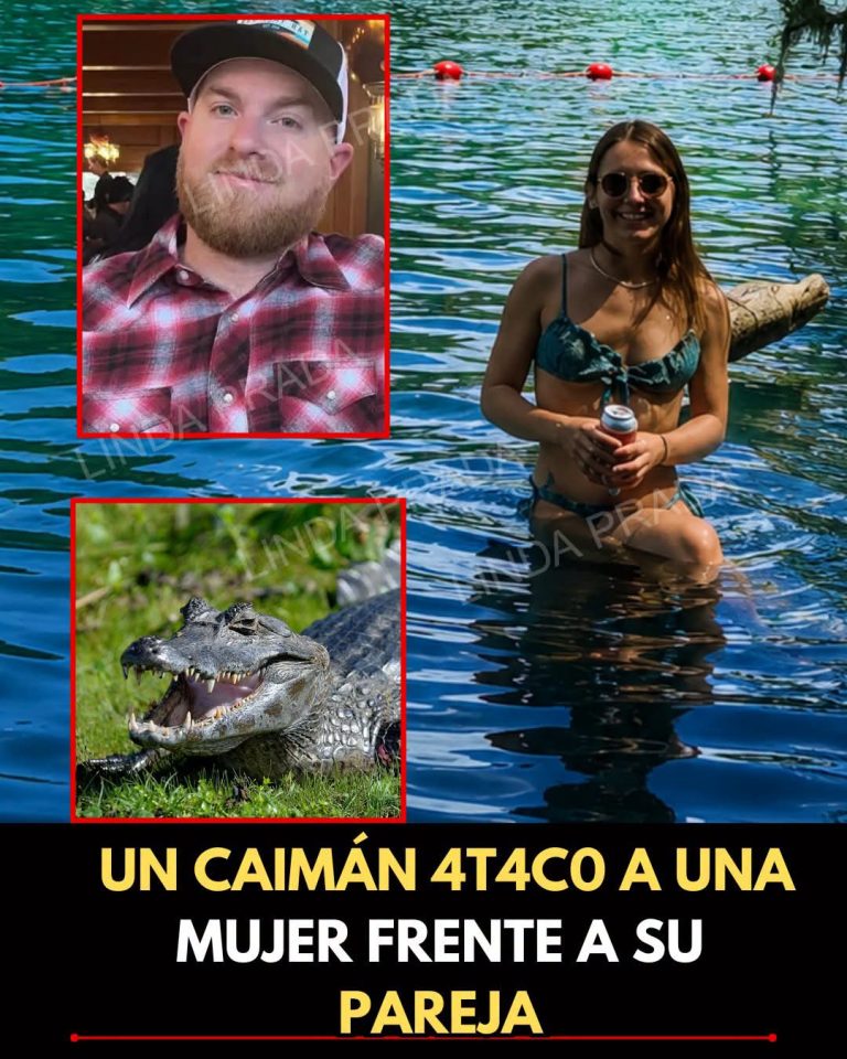 Mujer de 31 años muere tras ataque de un caimán durante caminata en Florida