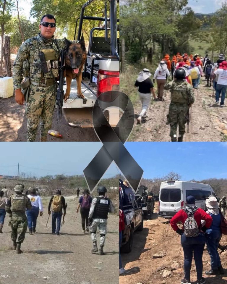 Muere elemento de la Marina durante operativo de seguridad en Mazatlán; tres más resultan lesionados
