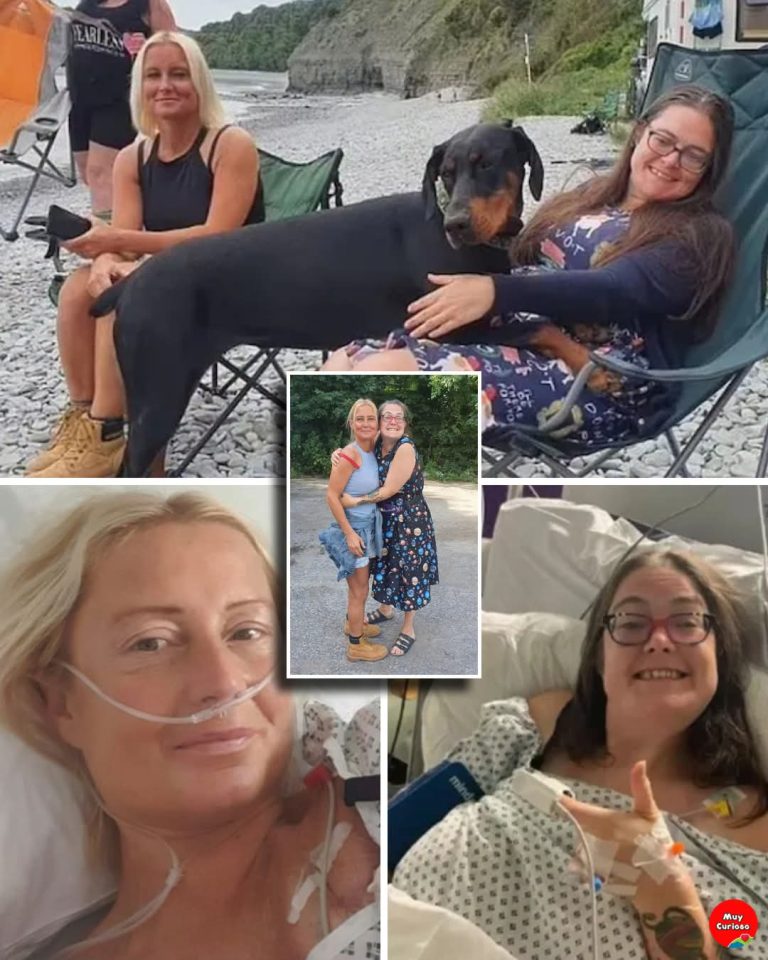 Un encuentro inesperado cambió dos vidas: la historia de Lucy Humphrey y el trasplante que llegó gracias a su perro