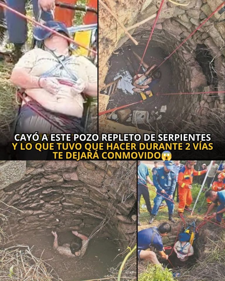 Mujer sobrevivió 54 horas atrapada en un pozo de ocho metros rodeada de serpientes: su increíble historia conmovió a miles