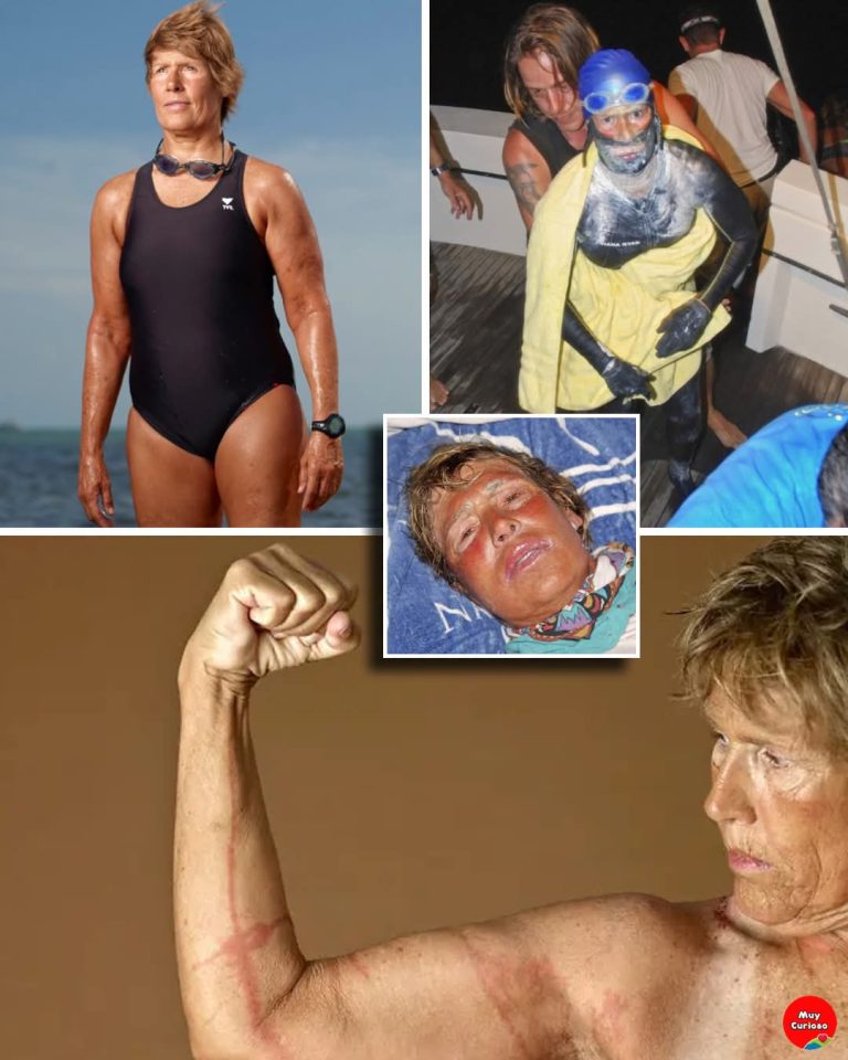 Diana Nyad: la mujer que desafió el océano y logró una hazaña histórica a los 64 años